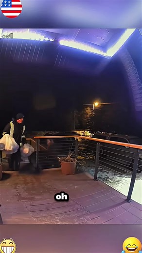 Winter's Funniest Snow Moments Caught on Camera