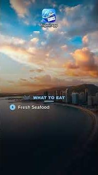 Cairns Travel Guide 🌍 Top Things to Do in Cairns | Tripmi #Shorts