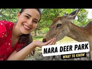 Nara Deer Park Japan - What I Wish I Knew Before Going