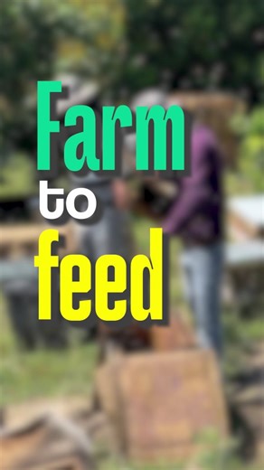 Vediko Origins on Instagram: "Dreams too big for small spaces ✨ We started in a tiny corner, but your love and orders are pushing us to grow faster than we imagined. 🚀 Now, we’re on the hunt for a bigger space to keep up with all the magic happening here. 💛 Big dreams, bigger moves and we’re taking you along the journey! (natural food, cold pressed oils, rose gulkand, raw honey, pesticide free, chemical free, traditional wellness, Indian superfoods, pure food, mindful eating, hea