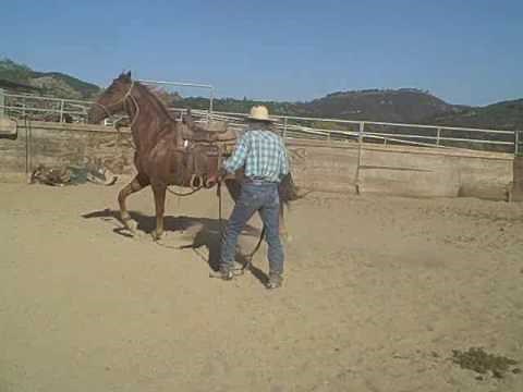 Working with the spoiled horse,David Lee Archer