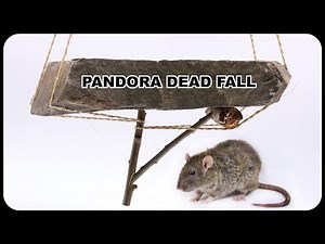 The PANDORA Deadfall Survival Trap. Mousetrap Monday.