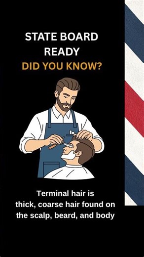 Barber State Board Prep: Terminal Hair Explained