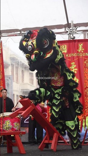 Traditional Chinese Lion Dance - Chinese New Year of the Horse 2026