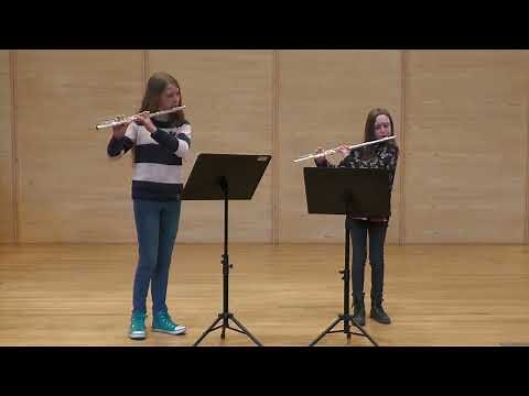 Musikschule Kempten: die Querflöte - Instrumentenvorstellung