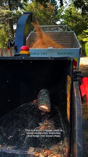 Industrial Wood Chipper Turns Tree Logs Into Wood Chips