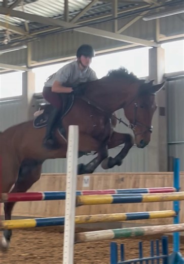 Clemusee✈️#foryoupage❤️❤️ #equestrian #showjumping #clemens #❤️