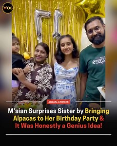 244K views · 5.1K reactions | OMG THEY'RE SO CUTE!  Full article: https://worldofbuzz.com/msian-surprises-sister-by-bringing-alpacas-to-her-birthday-party-it-was-honestly-a-genius-idea/ | WORLD OF BUZZ | Facebook