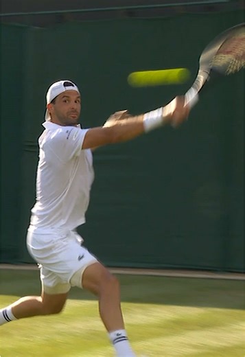 Grigor Dimitrov: Artistic Moments at Wimbledon