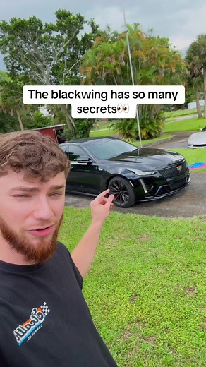 Unlocking the Secrets of Blackwing: SD Card Guide