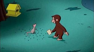 Watch Curious George Season 2 Episode 11 - The Fully Automatic Fun Hat / Creatures of the Night
