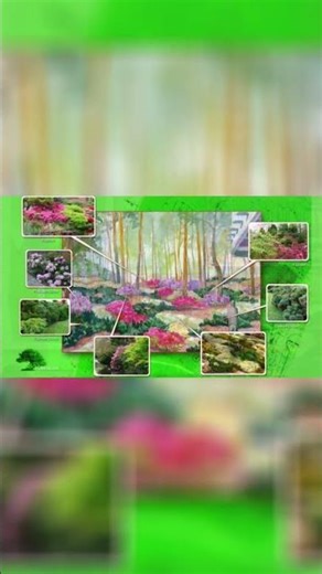 Разработка концепции ландшафтного проекта. Ainavu projekta koncepcijas izstrāde.