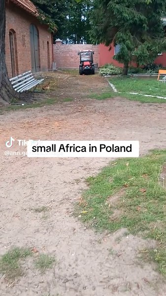 Small Africa in Poland: Life with Free-Ranging Animals