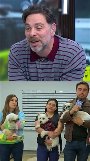"I WISH THE WORST FOR HIM": Neme's harsh outburst against man arrested for illegal breeding kennel