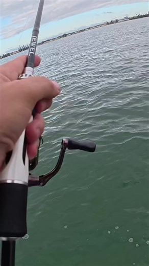 Amazing Fishing Rod Rescue Technique Revealed