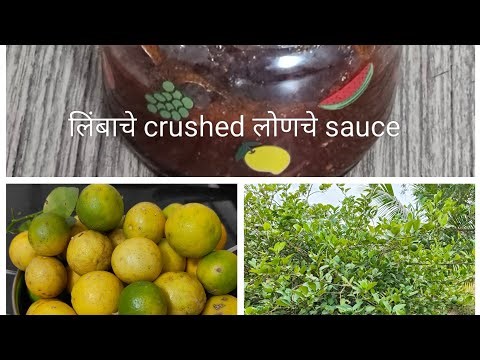 शेतावरच्या लिंबाचे sauce/ लिंबाचे crushed लोणचे/ microweave recipe