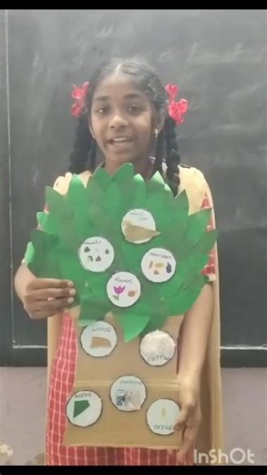 7th grade science activity