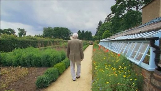 Charles Darwin and the Tree of Life