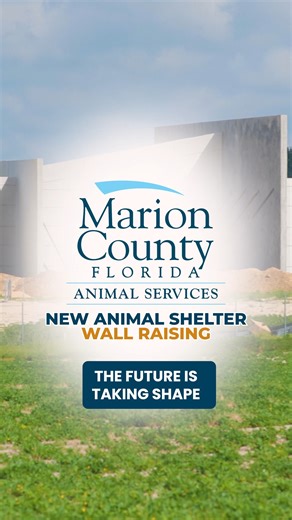 🐾 Big things are going up at Marion County Animal Services new Animal Shelter! Construction is moving right along as the team from Scorpio. begins raising the walls. The new facility, located at 6405 W. Highway 40, Ocala, will sit on nearly 20 acres, a huge upgrade from the current 2-acre shelter site, providing plenty of exterior green space for our animals to run, play, and thrive! Inside, you’ll find: ✅ 200 larger, more comfortable kennels with exterior runs (expandable up to 400 kennels in 