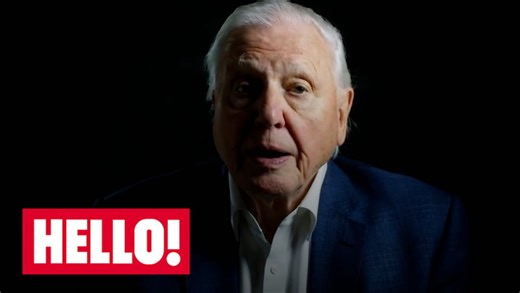 Watch: Sir David Attenborough reflects on his incredible life and career
