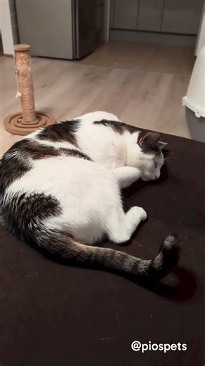 What do you think she is dreaming about?