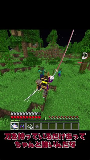 ジャパニーズ・ネコサムライ！- Japanese cat samurai！【マインクラフト】【JE】#minecraft #マイクラ #マインクラフト #ゆっくり実況 #mod #shorts