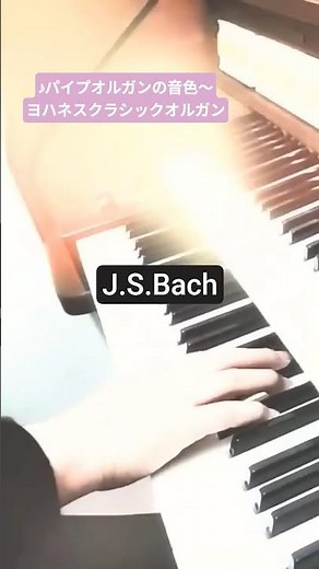 【ブライダル奏者の音の絵本】J.S.Bachフーガト短調BWV578とある日の演奏風景♪#J.S.Bach#フーガト短調#オルガン#クラシック