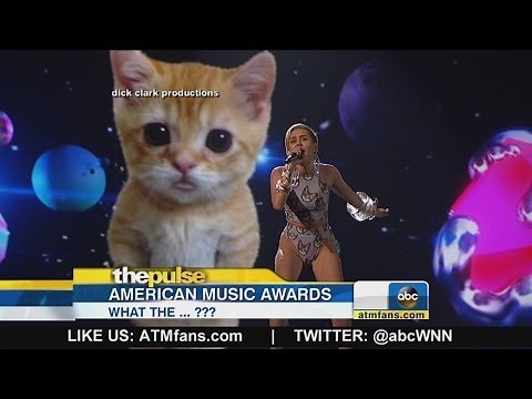 Miley Cyrus Performs With Giant Cat: American Music Awards 2013