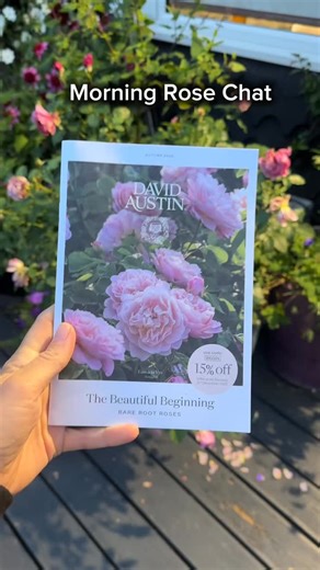Morning Rose Chat… It is the season to be ordering your bare root roses and I thought I would show you what some roses look like at 1 year, 2 years and 3 years old. Remember not everything you plant in your garden is going to look instantly amazing you have to learn patience when you garden. Investing in shrubs NOW will pay back big time in just a few years! The roses I have in my garden are: 🌱Gertrude Jekyll 🌱Gabriel Oak 🌱Mary Delayney 🌱Emma Bridgewater 🌱New Dawn 🌱Blush Noisette And I rea