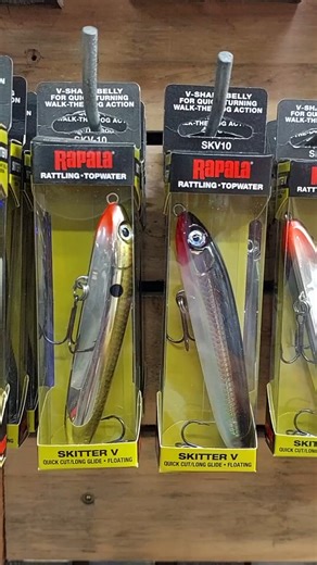 The Rapala Skitter V-10 delivers sharp, smooth topwater action with its V-hull design — perfect for explosive surface strikes! 🎣 #Rapala #SkitterV #TopwaterLure #FishingGear #SurfaceStrike | Angling & Marine Connection