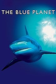 Watch Blue Planet - Seas of Life Season 1 Episode 1 - The Blue Planet