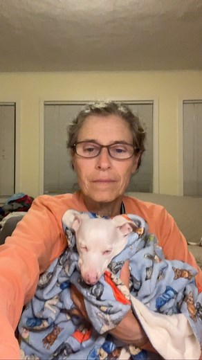 A very special goodnight from precious pink man Piggy Lee and Dreamy Georgie making an appearance under a blankie. I am literally in cuteness pr-son right now and I must admit that it's making me happy. Piglet is so relaxed that he's snoring and Jorge keeps making happy sighs under his blanket. I'm thinking about not getting anything done! . #goodnight #peaceful #dogsofinstagram #rescuedogsofinstagram | Piglet, the deaf blind pink puppy.