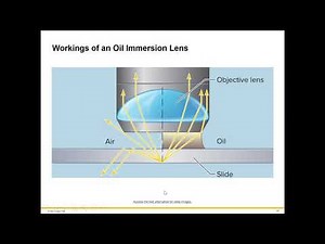 How a Microscope Works