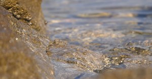 Video by Mario Krimer on Pexels