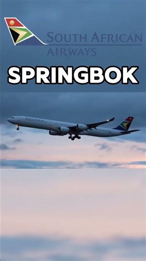 Airlines and their callsigns🛩️ #aviation #airlines