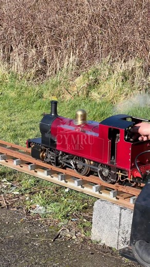 STEAMING BY! Catching some live steam action on the miniature line 🚂✨ #MiniatureRailway