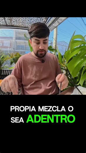 Moño de lemon pie? Riquísimooo