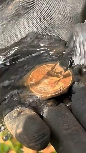 This Massive Silver Coin Was Worth the 2 Hour Drive!