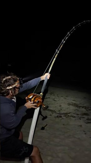 No worse feeling than breaking off a Giant Shark! #fishing #sharkfishing #sharks