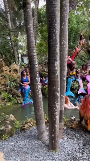 28 reactions · 7 comments |  Read and Save for later ⬇️ Mermaid...