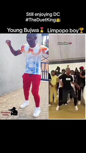 Limpopo Boy Dance Challenge Compilation