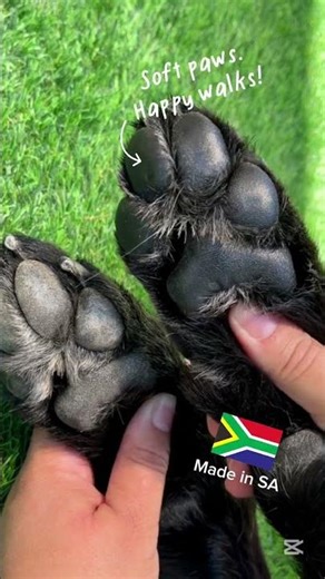 Cracked dog paws? Protect and restore them with Toe-tally Awesome Paw Balm. #pawbalm #doghealth