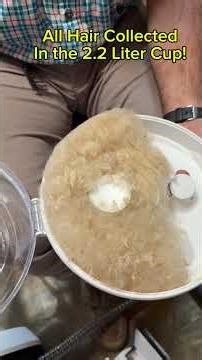Mess Free Pet Grooming at Home