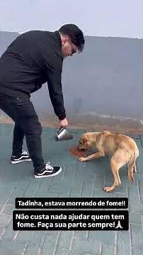 Olha quem encontramos no caminho para Rio Branco do Iguaçu
