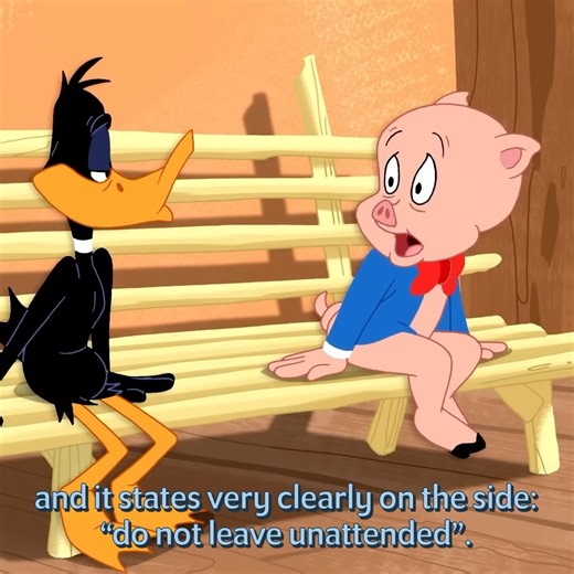 Read the room, Porky! | Looney Tunes