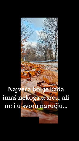 Ptico moja beli labude... (@ptico.moja.beli.l)’s videos with original sound - user78092168551
