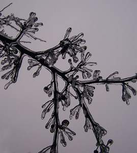 Freezing Rain: An Acrostic Poem