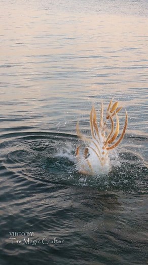 What's that in the water? Is it a mermaid? (Or perhaps something else? 🤔) Here's another video of the white dragon mermaid character that I have recently introduced. The mermaid tail for this character is extremely difficult to use and weighs about 30lbs. It was NOT an easy task to raise the tendrils of the fluke out of the water like that. 😅🖤 Anyway, I hope you enjoy this short dose of fairytale magic! Please remember that I am not AI or CGI. I am a real performer in a costume. #themagiccraf