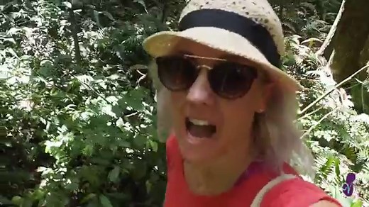 11 Best Places to Eat in St Kitts