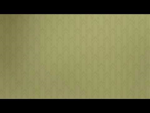 Instupendo | Live From The Backrooms